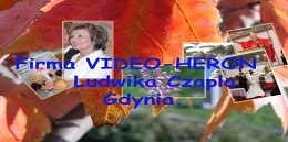 VIDEO-HERON - Gdynia