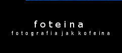 Foteina - Fotografia Ślubna - Sosnowiec