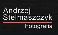 Andrzej Stelmaszczyk - Fotografia Ślubna - Warszawa