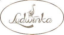 Hotel Restauracja Ludwinka - Pleszew
