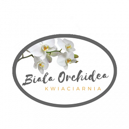 Kwiaciarnia Biała Orchidea - Opole