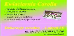 Firma Usługowo - Handlowa Carolla