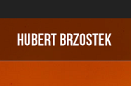 Hubert Brzostek - Fotograf Ślubny - Poznań