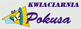 Kwiaciarnia POKUSA - Kielce