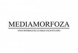 Mediamorfoza