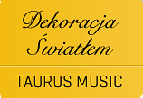 Dekoracje światłem - Taurus