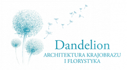 Dandelion - Mroków