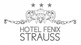 Hotel Fenix Strauss***