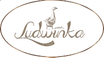 Hotel Restauracja Ludwinka