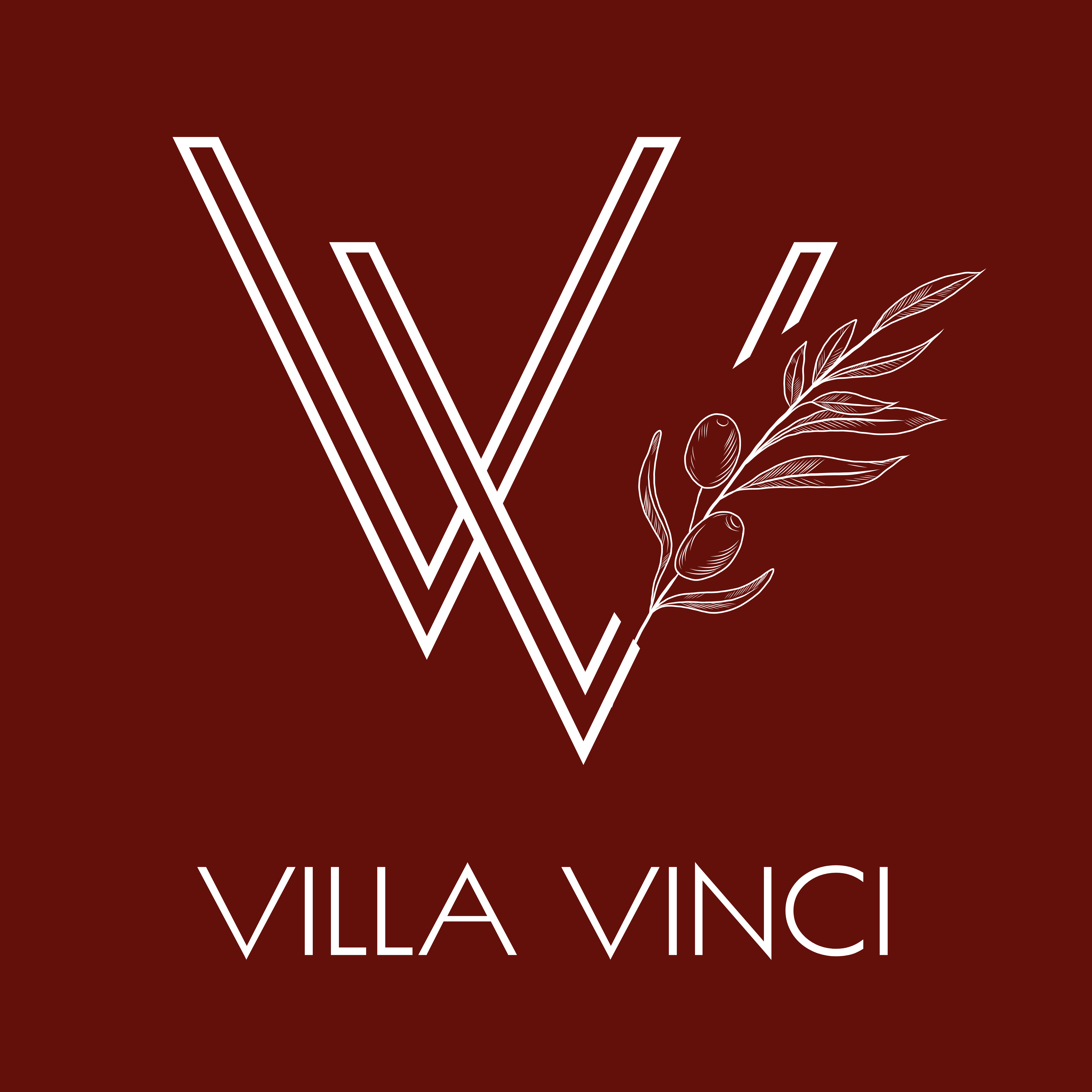 Villa Vinci - Łomianki