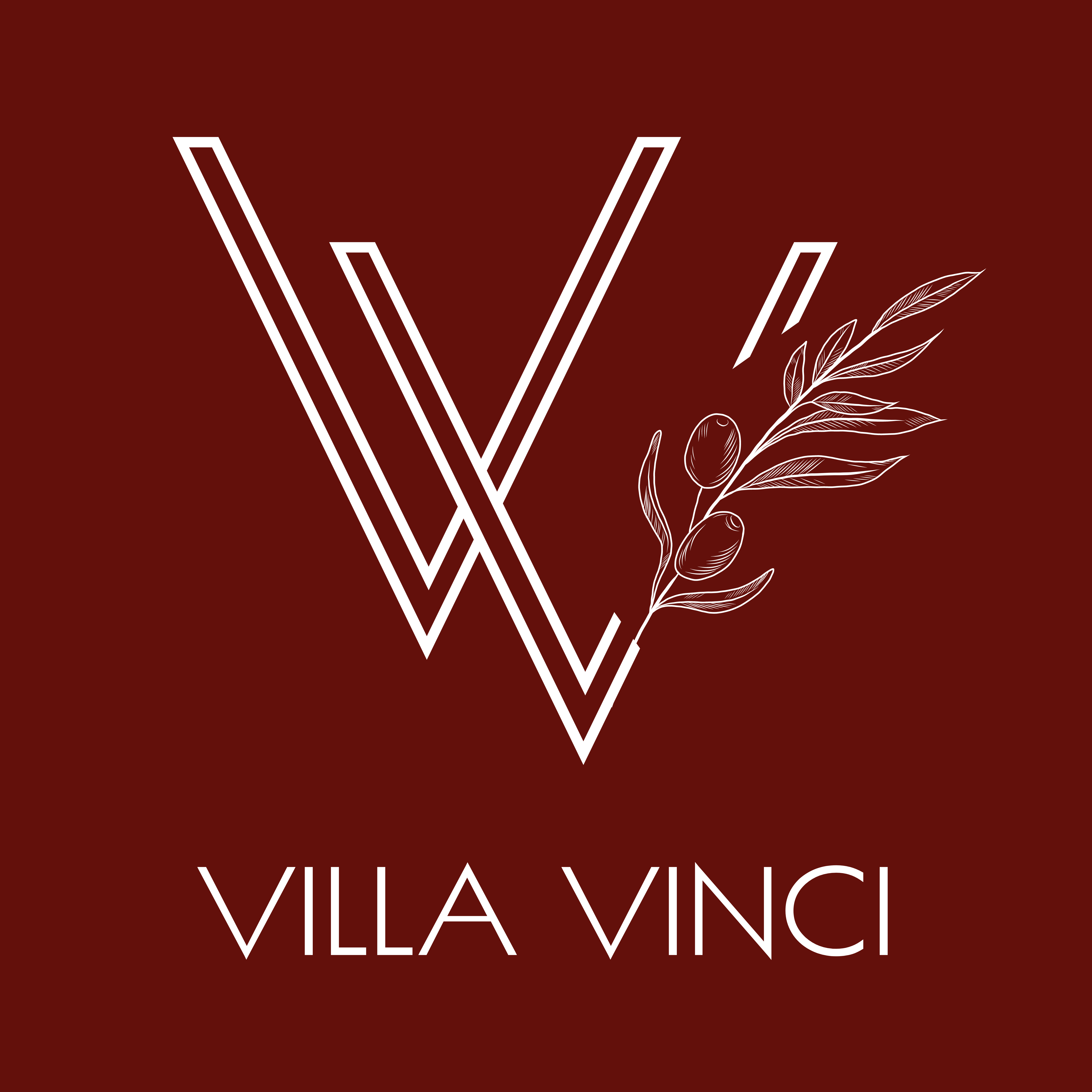 Villa Vinci