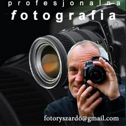 Fotografia ślubna - Fotoryszardo