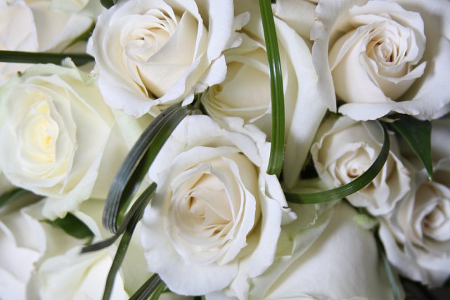 kwiaty dla pary młodej - białe róże