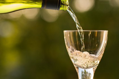 Świat białych win — jak wybrać i cieszyć się ich smakiem?